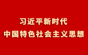 深入學習貫徹習近平新時代中國特色社會主義思想主題教育